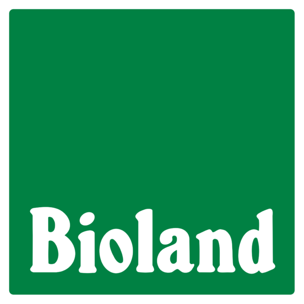 Zicklein Lachse – Bild 2